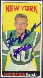 autographed 1965 topps larry grantham